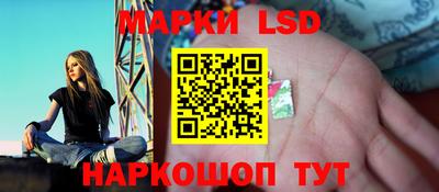 шишки Пенза