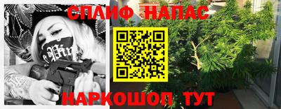 шишки Пенза