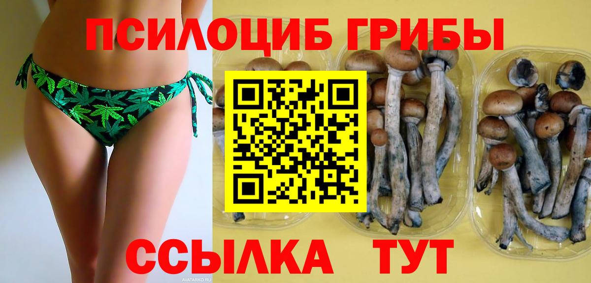 Галлюциногенные грибы MAGIC MUSHROOMS Павлово